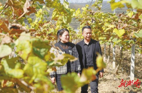 一本“明白账” 一身“泥土香”湘涌新潮⑨丨郴州：一餐“无扰饭”(图2)